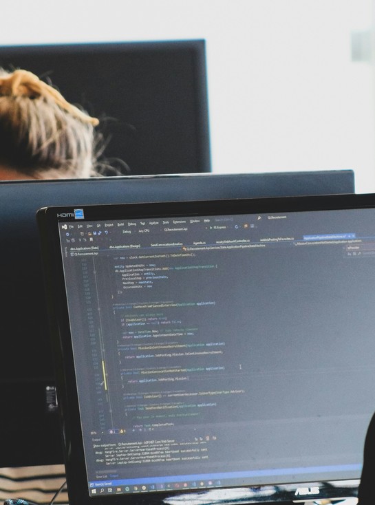 Website development project preview